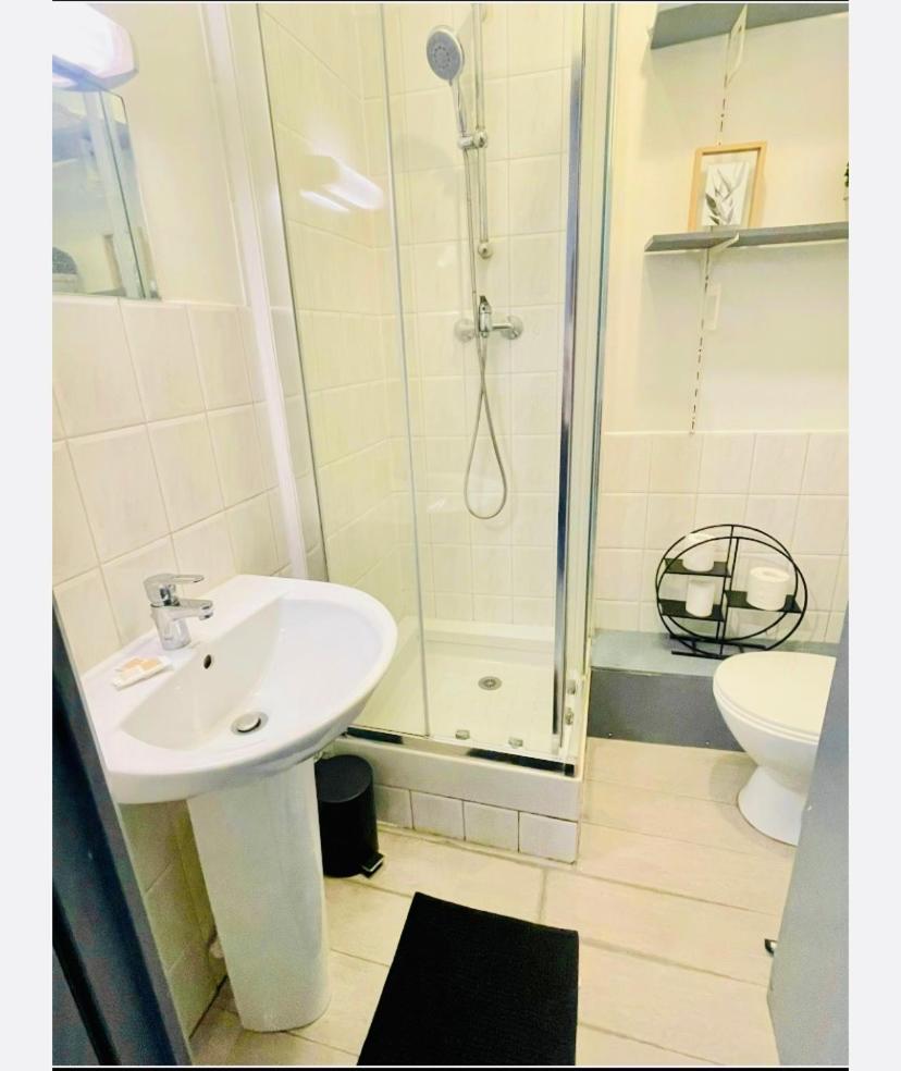 Studio Entier 1 Piece Et Salle De Bain Lille Extérieur photo